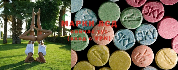 PSILOCYBIN Балабаново