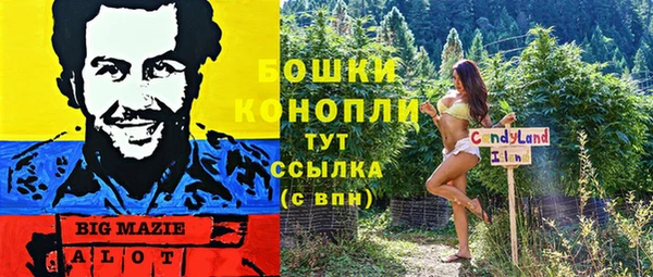 соль ск Богородицк