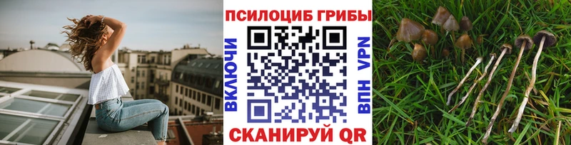где купить наркоту Мамадыш ссылка на мегу сайт Псилоцибиновые грибы ЛСД